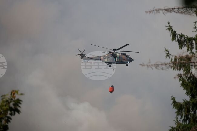 Четвърти ден продължава работата по погасяването на пожара в Сунгурларско 
