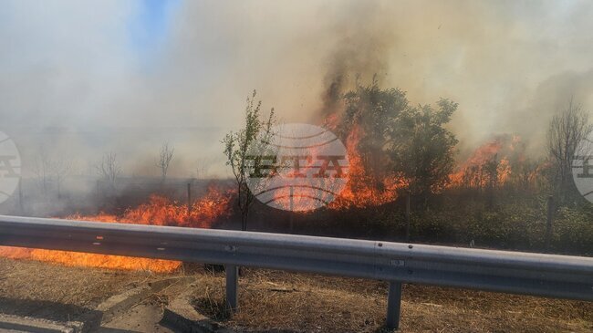 Пожарът в района на 86-и километър на магистрала "Тракия" е локализиран и не създава проблем на движението
