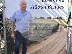 Село Острово - свободна борба - турнир