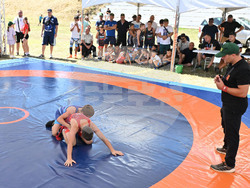 Село Острово - свободна борба - турнир