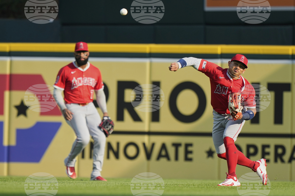 Angels Tigers Baseball