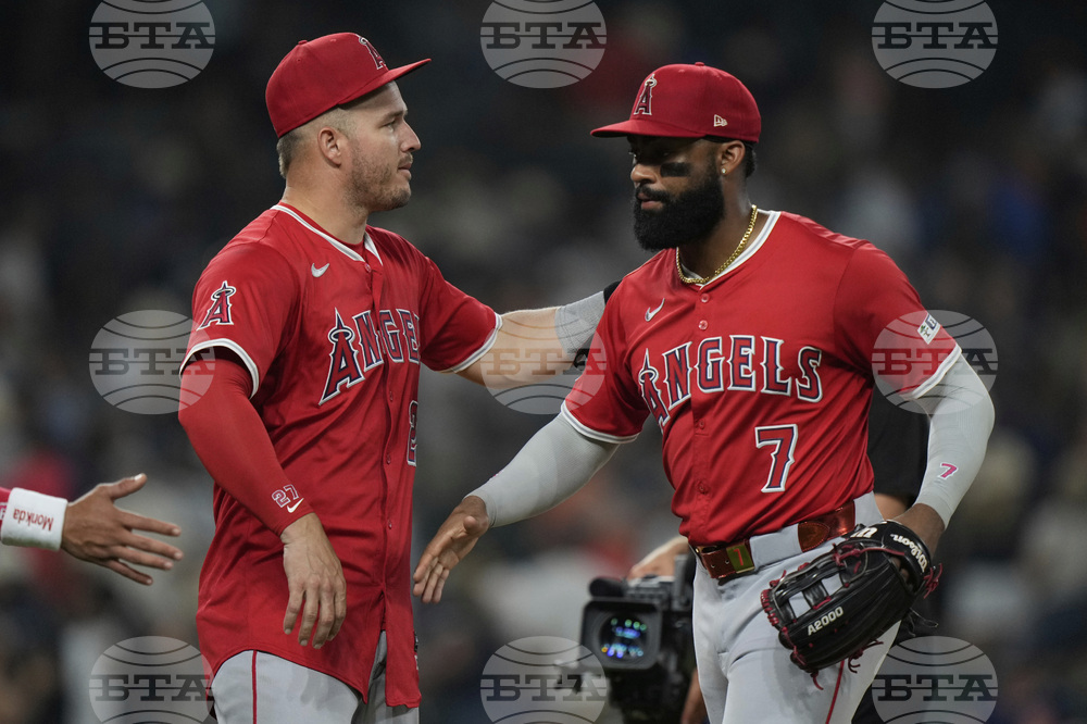 Angels Tigers Baseball