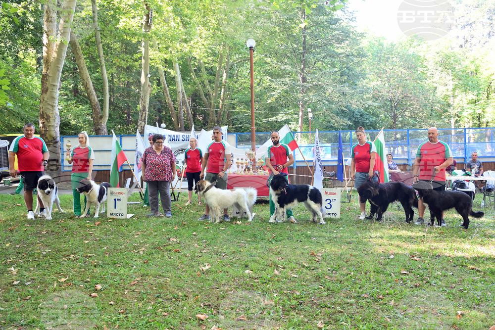 Киноложка изложба по повод празника на курорта, минералната вода и Балкана организираха във Вършец