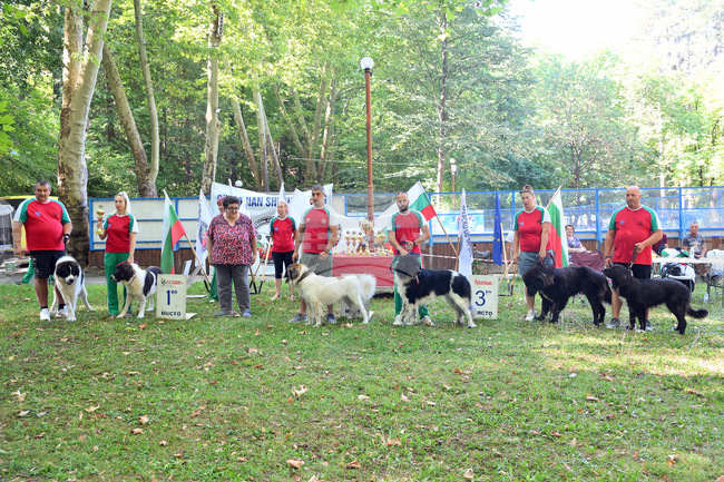 Киноложка изложба по повод празника на курорта, минералната вода и Балкана организираха във Вършец