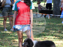 Вършец - „Българско овчарско куче“ - киноложка изложба