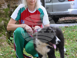 Вършец - „Българско овчарско куче“ - киноложка изложба