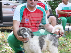 Вършец - „Българско овчарско куче“ - киноложка изложба