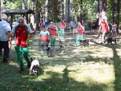 Вършец - „Българско овчарско куче“ - киноложка изложба