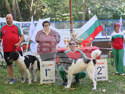 Вършец - „Българско овчарско куче“ - киноложка изложба