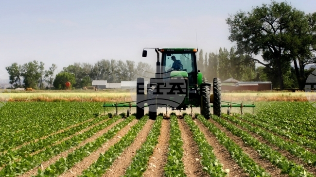 АТА: Албания предоставя безвъзмездно финансиране от 50 процента на фермери за механизация и модернизация