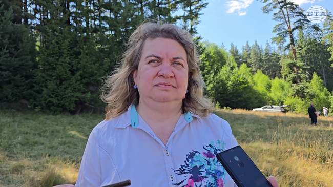 Изказването на президента за програмата за държавните имоти е по-скоро политическо, каза пред БТА председателят на НС Наталия Киселова