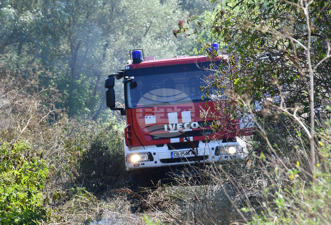 Общо 135 пожара са загасени в страната през последното денонощие