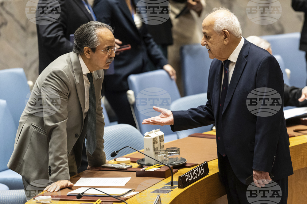 UN Security Council