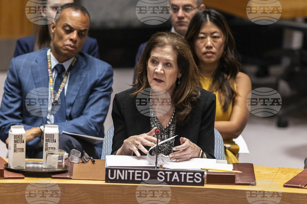 UN Security Council