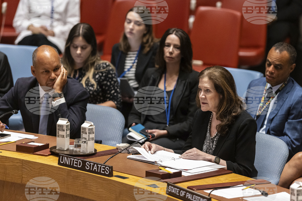UN Security Council