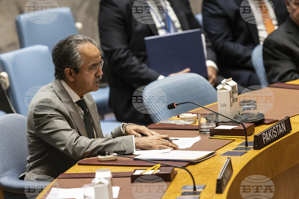 UN Security Council