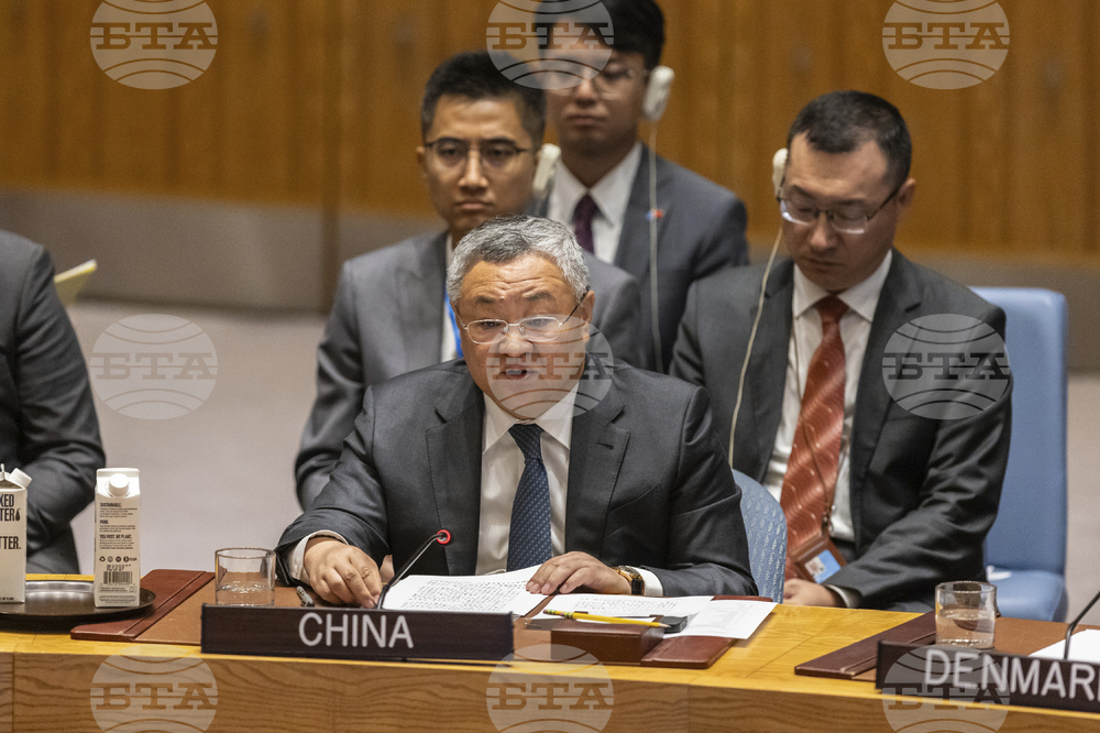 UN Security Council
