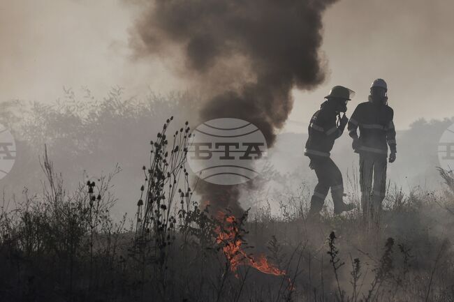 Площта на пожара в Национален парк „Рила“ е 500 декара, днес на терен има над 80 души