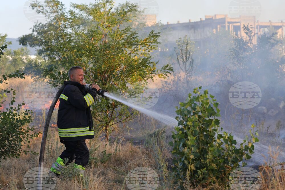 Пожар е възникнал в землището на Угърчин 