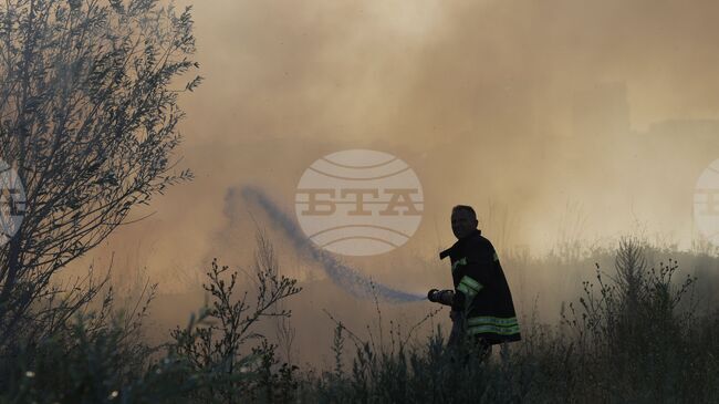 Пожарът в столичния кв. "Христо Ботев" е овладян, съобщиха от пожарната