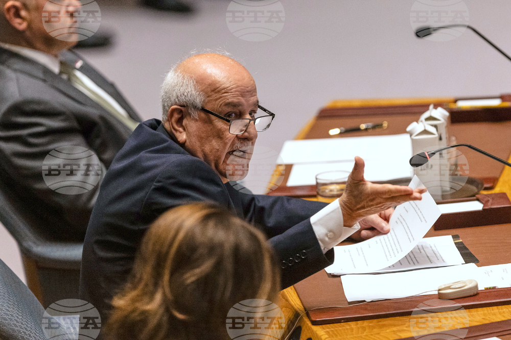UN Security Council