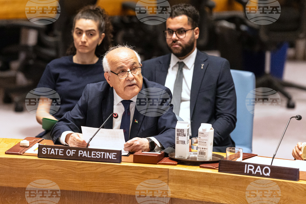 UN Security Council