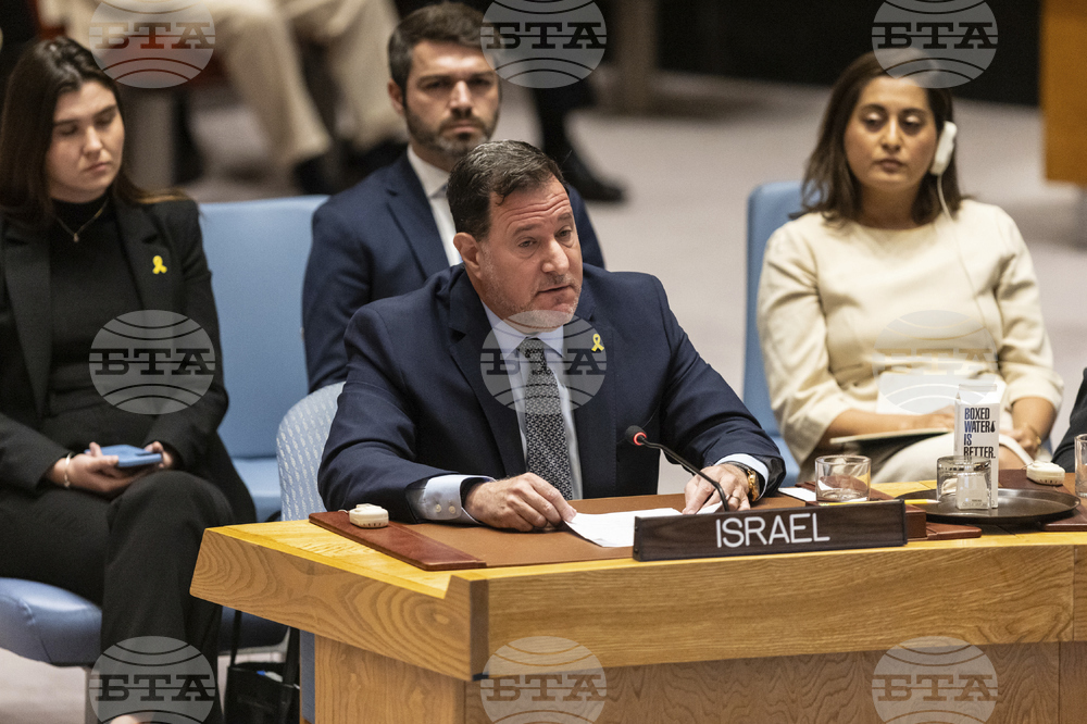 UN Security Council