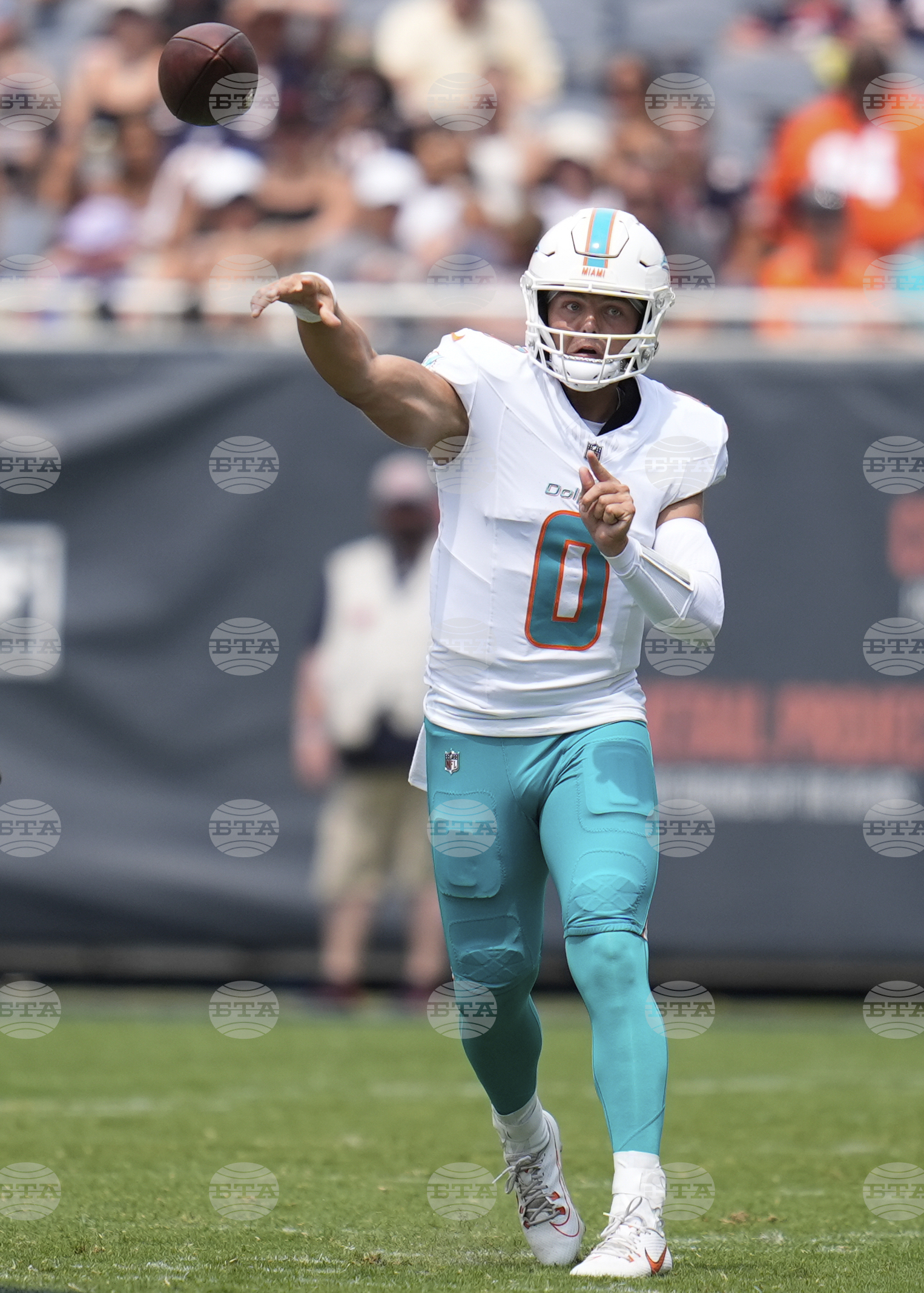Dolphins Bears Football