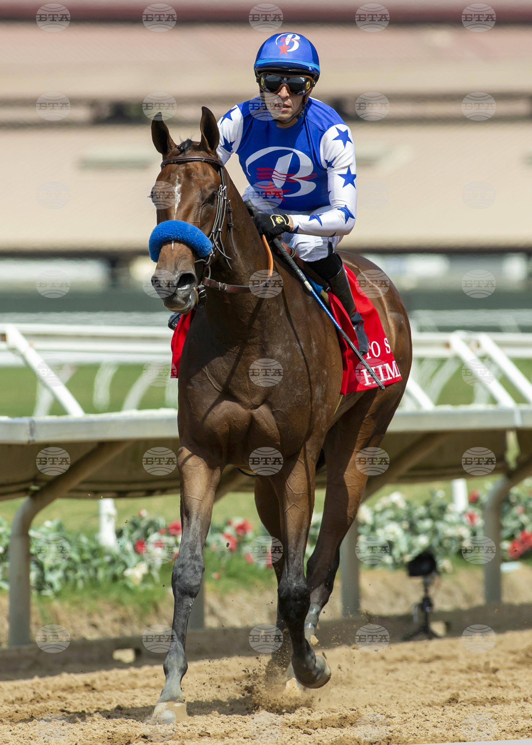 Del Mar Horse Racing