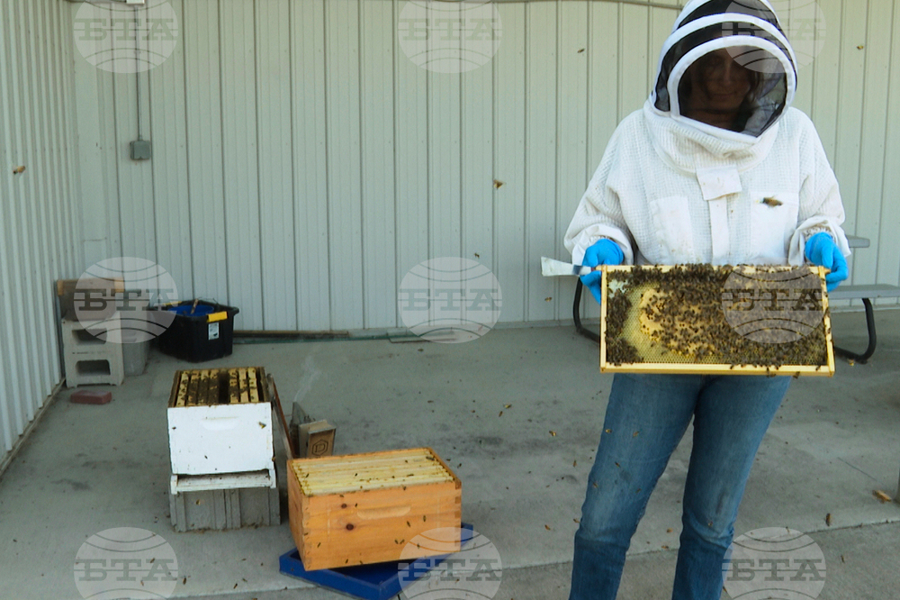 Honey Bee's Best Friend