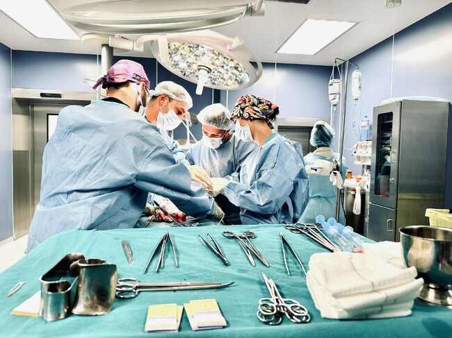 Чернодробна трансплантация е извършена през нощта, а две бъбречни трансплантация предстоят днес в резултат на донорска ситуация в "Пирогов"