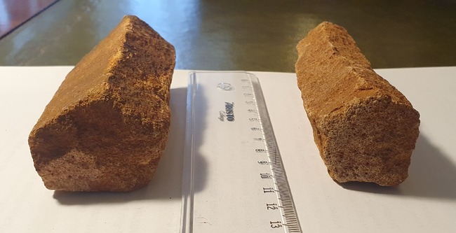 Paraguayan Ambassador Donates Rare Specimen to Earth and Man Museum