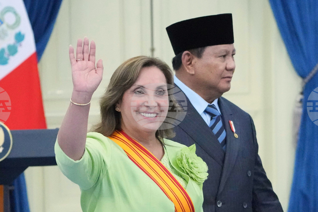 ЕФЕ: Конституционният съд на Перу спира разследванията срещу президента Дина Болуарте