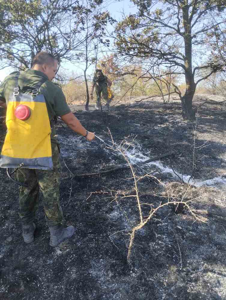 МО: Военнослужещи за пореден ден помагат в гасенето на големите пожари в страната