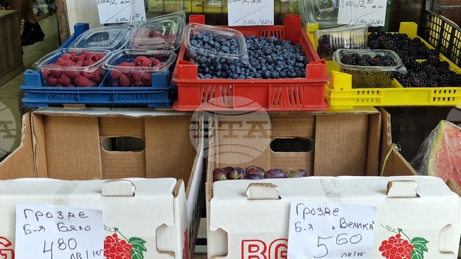 Част от търговските обекти в Стара Загора все още не са обявили цените си в левове и евро