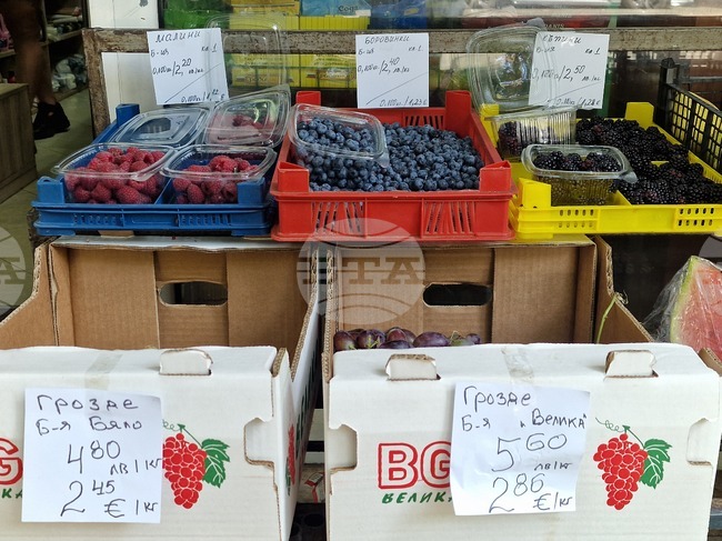 Част от търговските обекти в Стара Загора все още не са обявили цените си в левове и евро