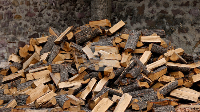 Близо 9200 заповеди за отпускане на помощ за отопление са издадени от Регионална дирекция „Социално подпомагане” в Ловеч