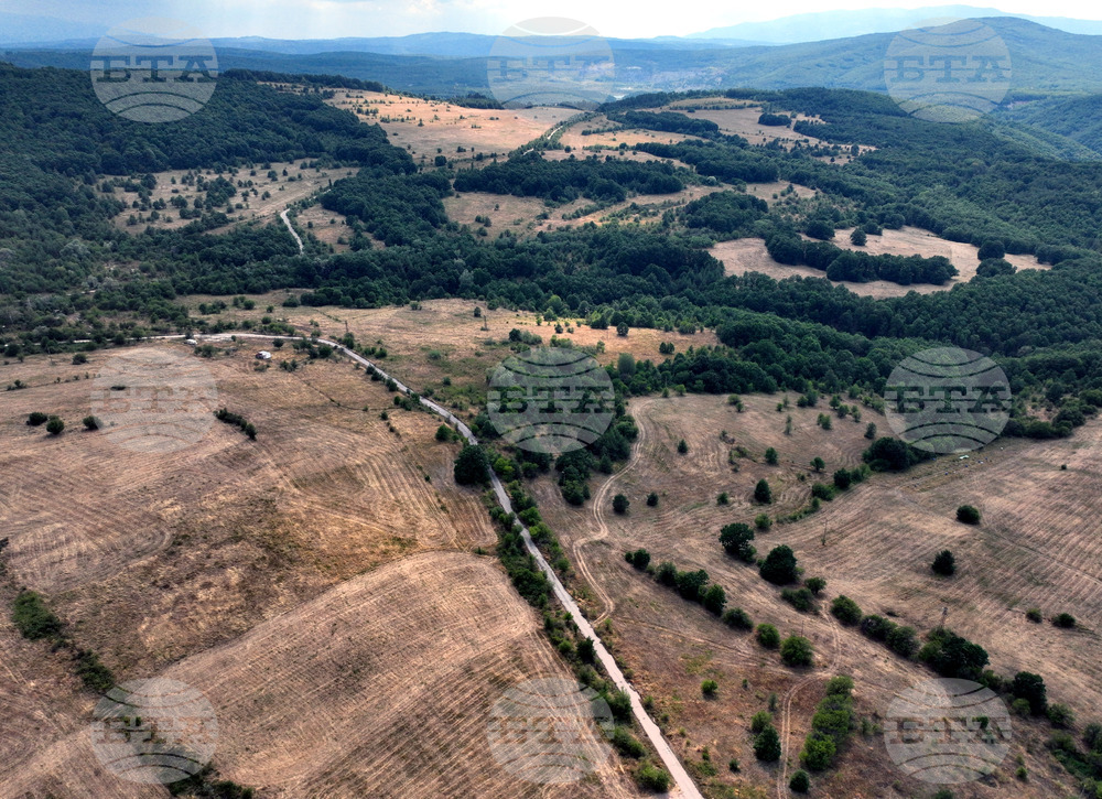Осигурено е засилено полицейско присъствие за традиционния събор край с. Юндола