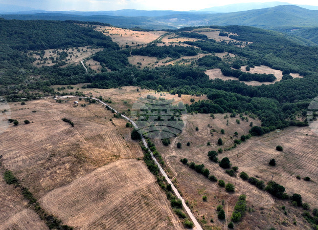 Осигурено е засилено полицейско присъствие за традиционния събор край с. Юндола