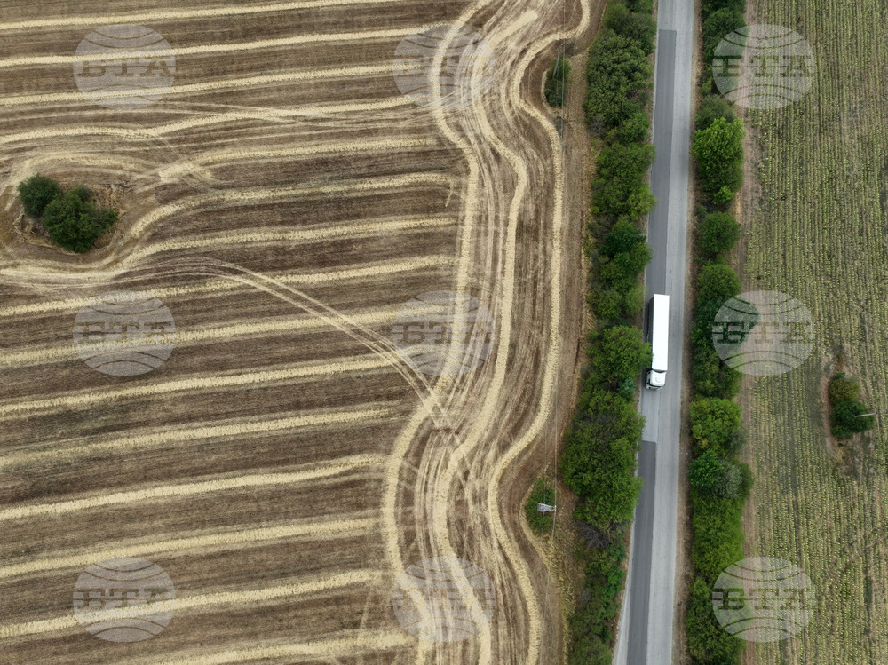 Цената на земеделската земя в ЕС се е увеличила с 6,1 на сто през 2024 г.