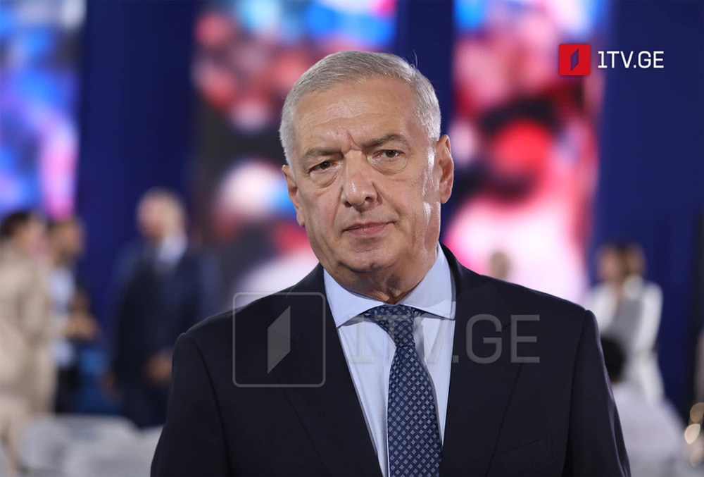 ГПБ: Местните избори придобиват особено политическо значение, заяви първият заместник-председател на грузинския парламент