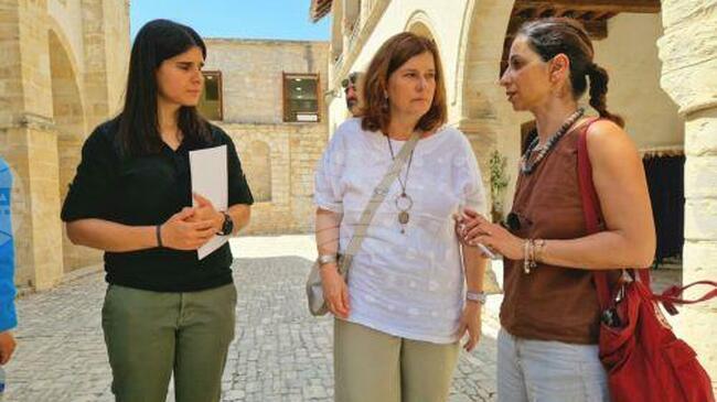 КНА: Останките от седем исторически паметника са повредени от горски пожари, съобщи заместник-министър на културата на Кипър