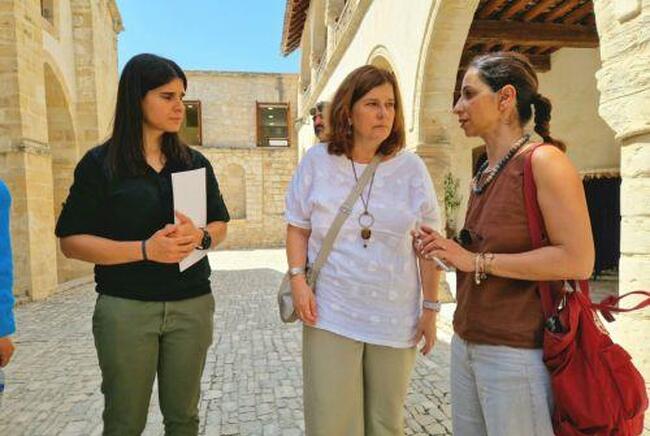 КНА: Останките от седем исторически паметника са повредени от горски пожари, съобщи заместник-министър на културата на Кипър