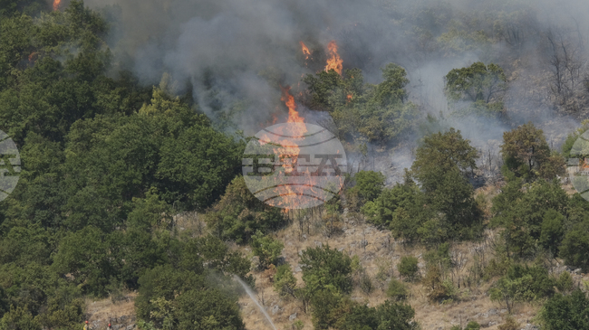 Горските пожари в Албания взеха първа жертва; общо 50 пожара са регистрирани за последните 24 часа, 19 от тях продължават да горят