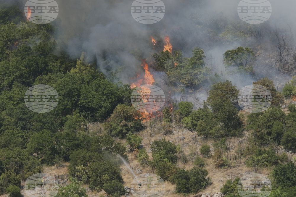 Горските пожари в Албания взеха първа жертва; общо 50 пожара са регистрирани за последните 24 часа, 19 от тях продължават да горят
