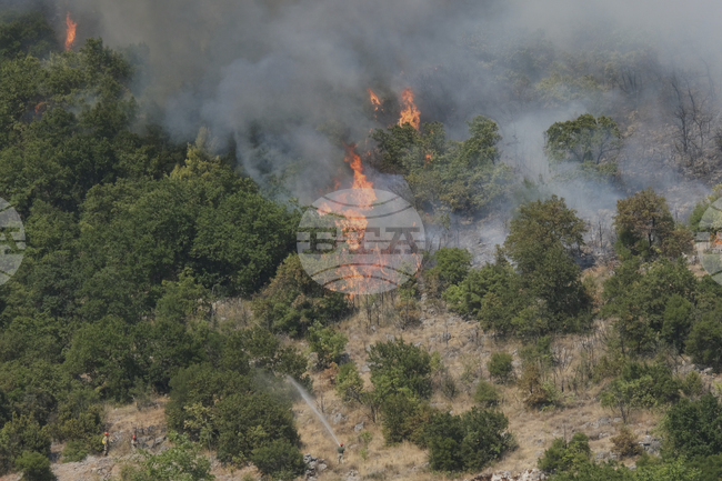 Горските пожари в Албания взеха първа жертва; общо 50 пожара са регистрирани за последните 24 часа, 19 от тях продължават да горят