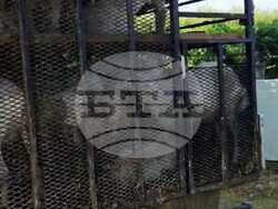 Снимка: Пресцентър МВР 