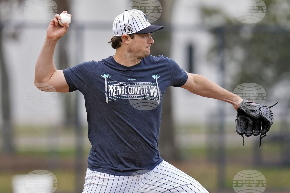 Yankees Cole Baseball