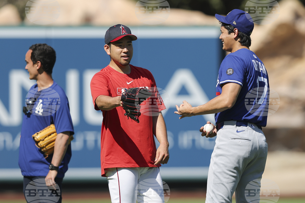 Dodgers Angels Baseball