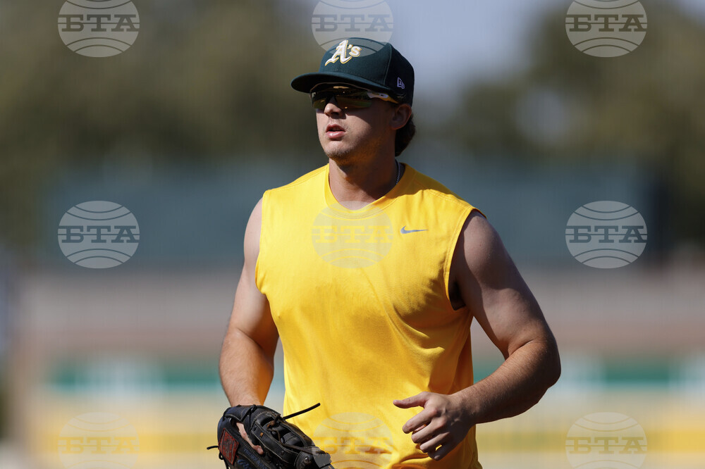 Rays Athletics Baseball